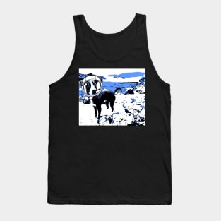 Intrepid Explorer Tank Top